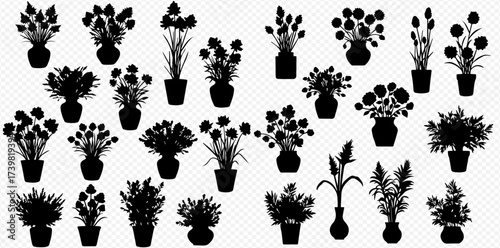 Collection of black silhouettes of various potted plants and flowers, showcasing different botanical forms and arrangements.