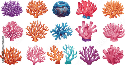 Vector illustration of colorful coral species in various shapes and textures for marine biology, ocean design, reef conservation, and education.