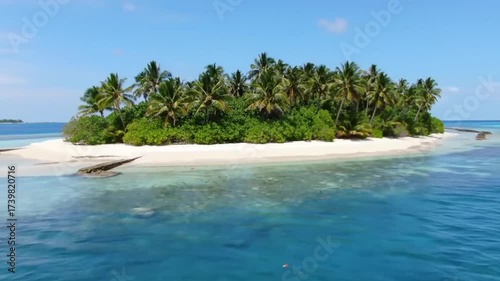 Tropical island paradise