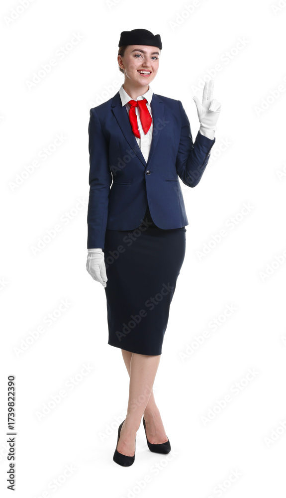 Obraz premium Charming stewardess in uniform on white background