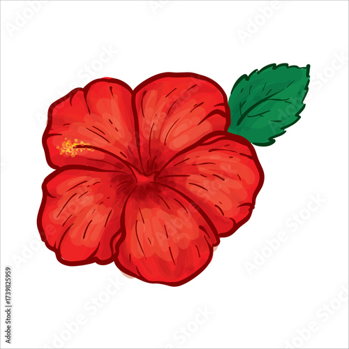 Hibiscus Hand Drawing Vector Illustration