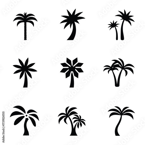 Collection of nine black silhouette palm tree icons on white background vector