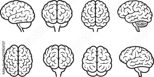 Set of anatomical human brain brain side view vector illustrations.A flat black and white line icon of a human brain.