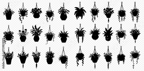 A comprehensive collection of black silhouette illustrations showcasing various hanging potted plants with diverse foliage types.