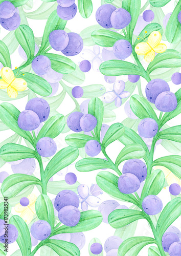 Hand drawn watercolor blueberry meadow poster. Illustration of berries and butterflies isolated on white background. Can be used for postcard, scrapbook and other printed products.