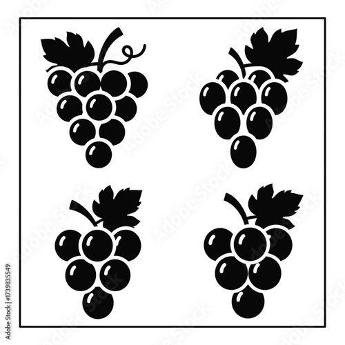 Four black grape cluster silhouettes artistic design elements for harvest food and beverage designs silhouette