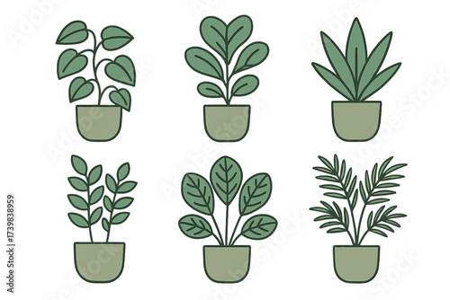 Minimalist collection of six popular potted houseplants in sage green pots