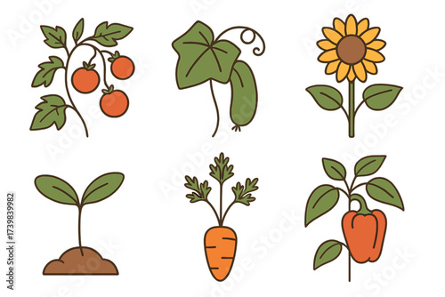 Colorful set of six garden vegetables and plants: tomato, cucumber, carrot, pepper, seedling, and sunflower