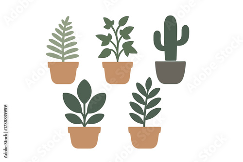 Minimalist potted houseplants and cactus set in earthy tones for interior decor