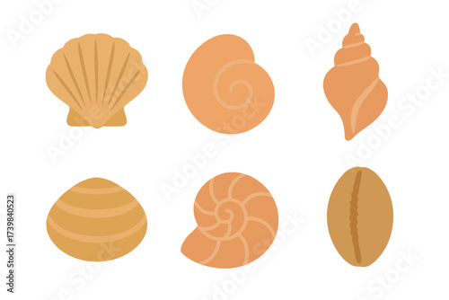 Six different types of stylized seashells and marine mollusks isolated on a white background