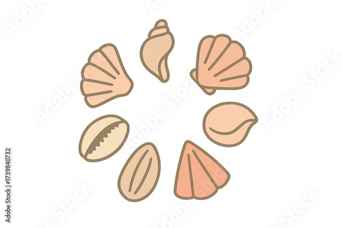 Stylized collection of various seashells arranged in a circular pattern on a white background