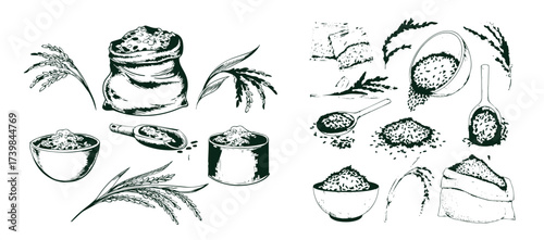 Sketch wheat set isolated on white background