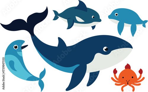 Marine animal vector bundle whales dolphins crabs ocean life illustration scalable eps