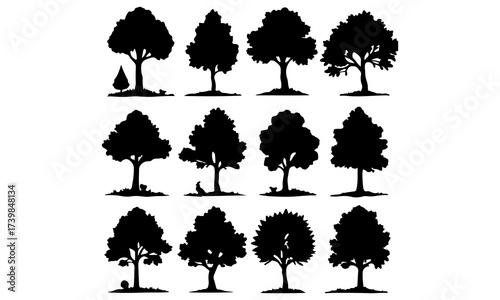 Collection of Tree Silhouettes for Nature and Environment Concepts