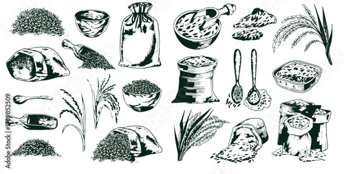 Sketch wheat set isolated on white background