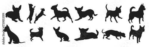  set cihuahua silhouette vector illustration 