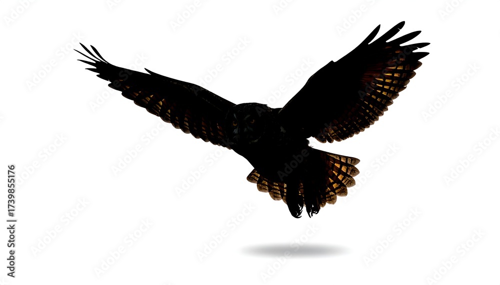 Obraz premium Silhouette of a majestic bird in flight, wings outstretched against a stark white background, showcasing detail and grace