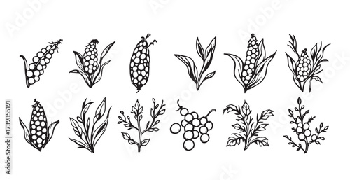 corn plant icons set