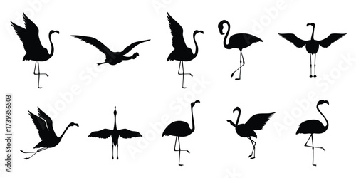 Flat flamingo silhouettes collection vector