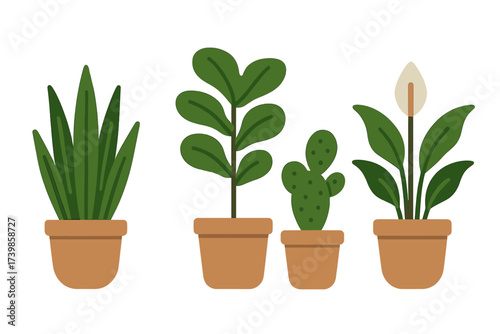 Collection of four popular potted houseplants including a cactus and peace lily