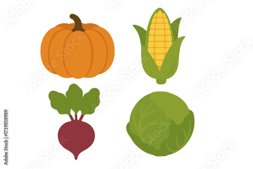 Fresh organic produce set featuring pumpkin, sweet corn, red beet, and green cabbage