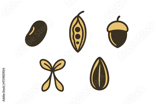 Minimalist set of various seeds, legumes, nuts, and young plant sprout elements