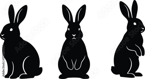 Rabbit silhouette trio, sitting, standing, alert bunny poses, black animal vector, nature behavior illustration, wildlife character design, minimal art