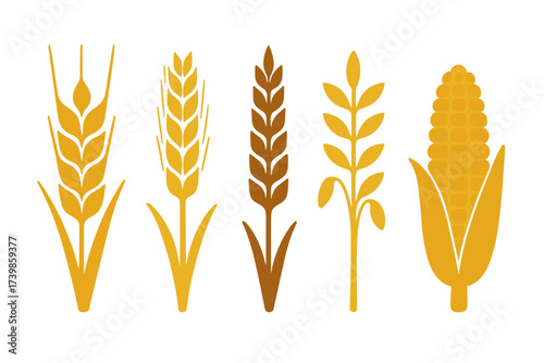 Set of stylized icons representing different cereal grains including wheat rye and corn