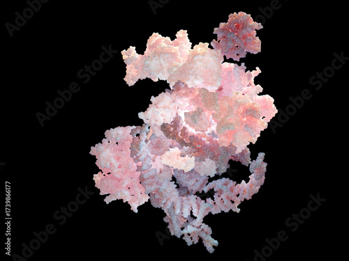Activated spliceosome. The spliceosome removes non-coding regions (introns) from pre-mRNA, leaving the coding regions (exons) to form mature mRNA.
