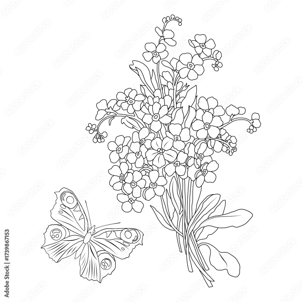 Fototapeta premium Forget-me-not bouquet and butterfly