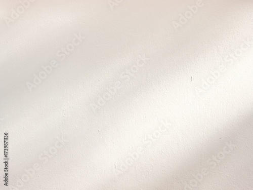 An empty wall background with the tree shadow and a copy space for your work. A faint shadow on the wall.
