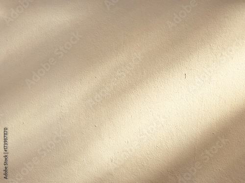 An empty wall background with the tree shadow and a copy space for your work. A faint shadow on the wall.
