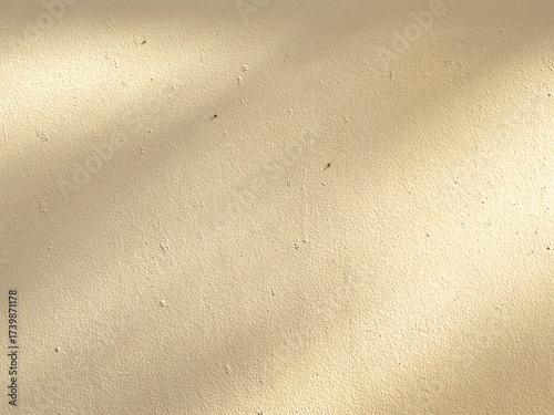 An empty wall background with the tree shadow and a copy space for your work. A faint shadow on the wall.