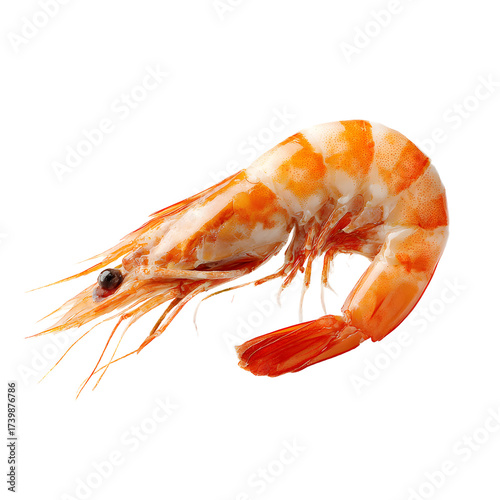 Delicious Single Cooked Shrimp on White Background for Culinary Professionals