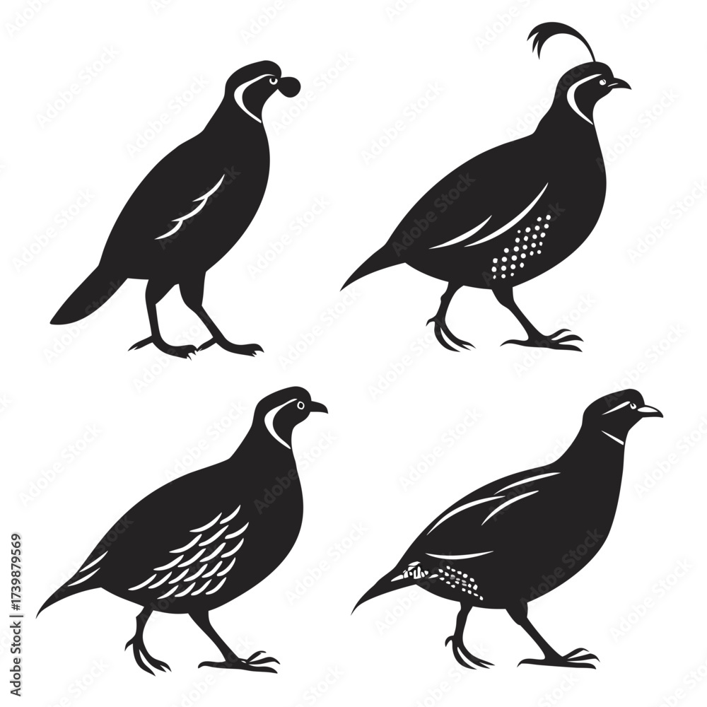 Fototapeta premium set of birds silhouettes