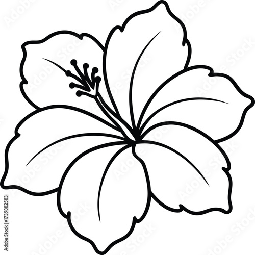 Vibrant hibiscus flower illustration with brightly colored petals