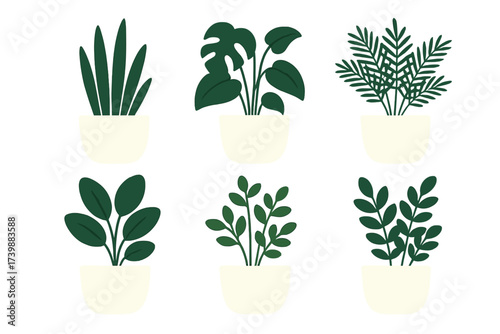 Collection of six different popular indoor houseplants in white pots isolated on a clean background