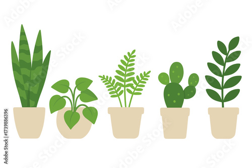 Row of diverse green potted houseplants including cactus fern and snake plant