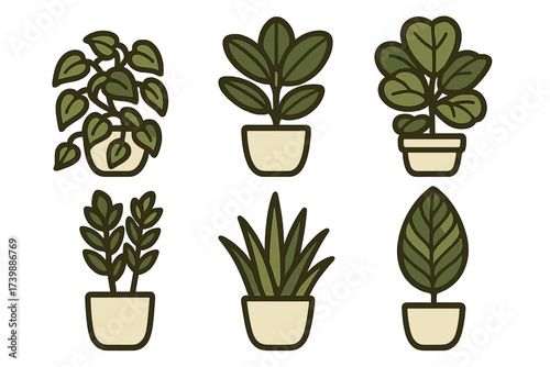 Set of various indoor potted houseplants and decorative foliage elements for interior design