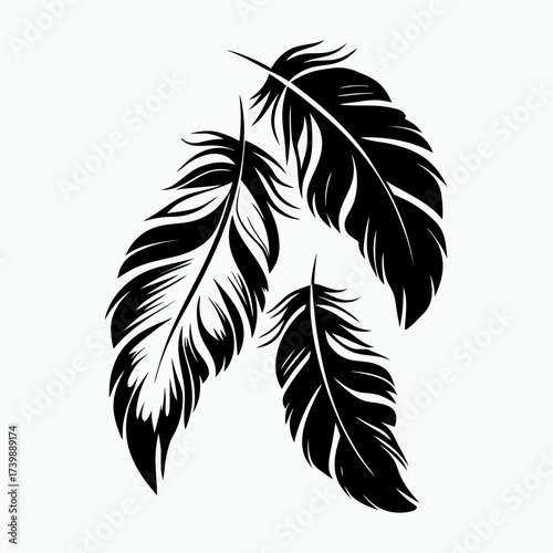 Feathers for Mardi Gras celebration isolated on white background