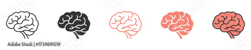 Human brain icons set,  vector illustration . 