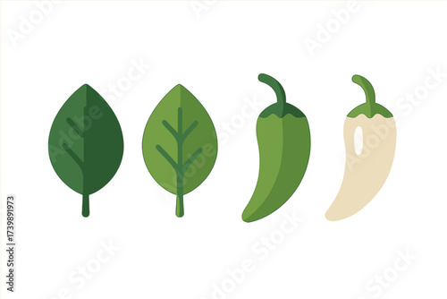 Assortment of organic produce including spinach leaves and spicy chili peppers