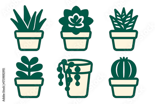 Minimalist set of six potted houseplants featuring various succulents and desert flora