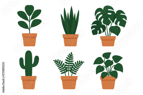 Collection of various popular green houseplants in terracotta pots on a white background