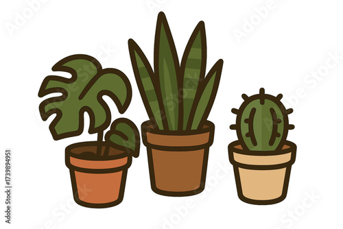 Set of three popular indoor houseplants: Monstera, Snake Plant, and small cactus in terracotta pots