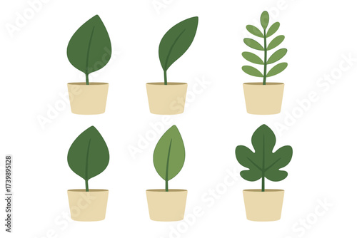 Collection of six simple potted houseplants with various green leaves on a white background