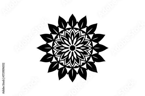 Floral mandala symmetrical design on transparent background silhouette