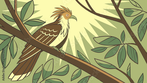 Zoomed-in shot of a Hoatzin resting among the forest trees sunny view.