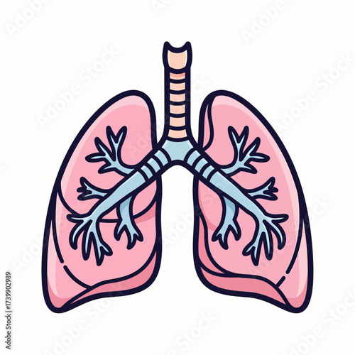 Stylized Human Lungs with Trachea and Bronchial Tree Illustration.