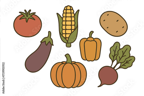 Set of autumn harvest vegetables including pumpkin corn tomato and potato